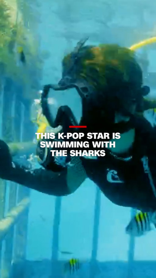 Grammy-nominated singer Rei Ami tell CNN's @katebolduan she lived out a childhood dream swimming with 16 reef sharks, while filming for her new show with actor Ken Jeong. 

"K-Pop Shark Heroes" premieres this Sunday, July 26 on Discovery and HBO Max.