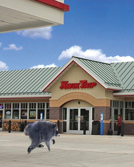 JIMOTHY IS IN THE MIDWEST