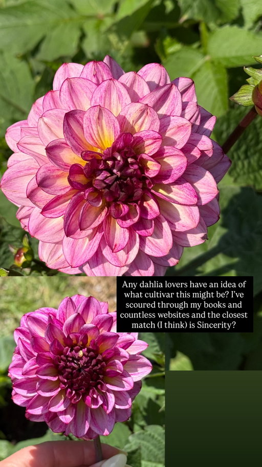 Story by ssssamanthaa on Jul 24, 2026
