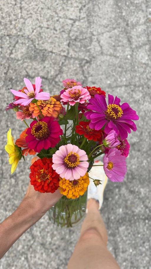 I decided tonight it’s going to be our mission to bring every neighbor on our street some flowers. 🌼🌷

#loveyourneighbor #lovelikejesus