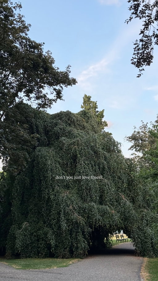 Stories by lisadengler on Jul 24, 2026