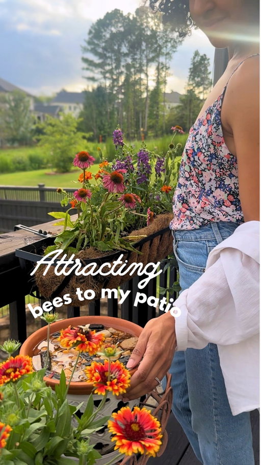 The bees were so not impressed.