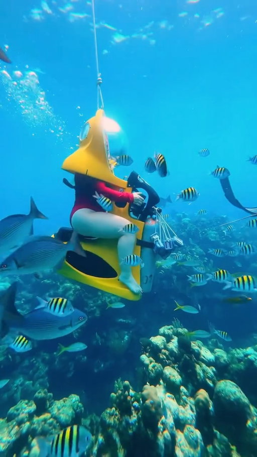 follow @georgeandcris for travel inspo 😍

Who would you ride these with?! 🤣🧜‍♀️🛵

Underwater scooter tour details👇

🤿 Did you know you can explore the vibrant reefs of Roatán on your very own underwater scooter? With BOSS Roatán, you glide beneath the Caribbean waves surrounded by colorful coral, tropical fish, and other fascinating sea life! 🐢💙

🪸 This experience was unforgettable! Cruising along the ocean floor, breathing comfortably inside your scooter helmet, and watching schools of fish dance around you… it was so fun and funny! 😅

DETAILS BELOW 👇

🏷️ Price: We did the “2 in 1” package which was around $125 per person & included underwater scooters + snorkeling. All gear is provided, just bring your swimsuit!

⏱️ Time: The full experience lasts about 3 hours, including orientation, scooter time, snorkel time, & surface breaks.

🤿 Experience: No scuba certification or swimming skills required. If you can sit and breathe, you can do this! (Obviously for the snorkeling portion, you will need to know how to swim.)

Who would you ride a mermaid scooter with?! 🤣

#BucketList