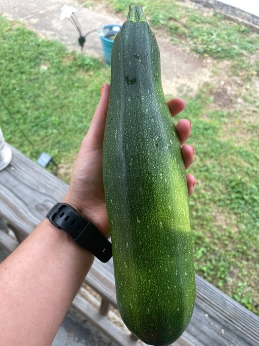 I call this, growth from my garden 🥹 super duper happy about my babies 

#garden #gardening