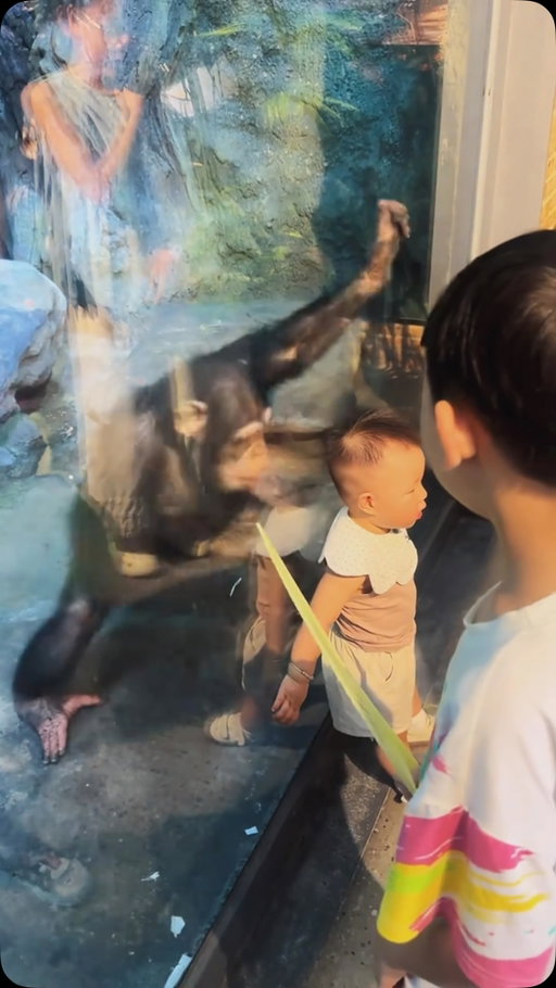 Crazy day at the zoo 🤦‍♂️😂😂 lets keep it moving people the one monkey is a little crazy today 😂 lets go see the gorillas? 🤣 #comedy