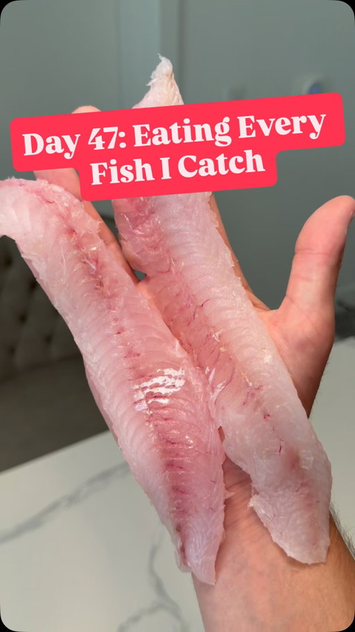 Day 47 of eating every fish I catch

Rod: connley_fishing rod | Code JUICY10 for discount

#fishing #catchandcook #fish #florida #floridafishing