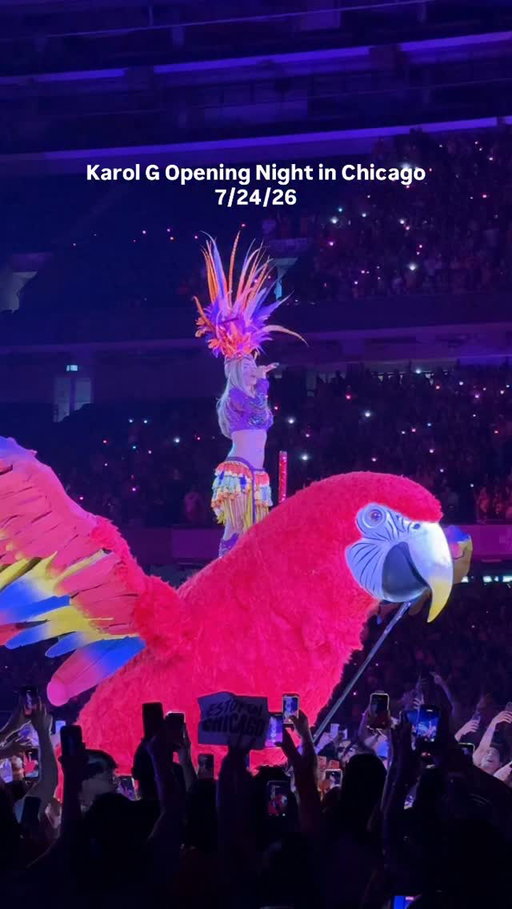Papacito, ay qué rico tú 🦜🌺 If you have tickets to @karolg tonight in Chicago or any of her upcoming shows, consider yourself the luckiest person.

 #chicagogram #karolg #tropitour #chicagoconcert #soliderfield