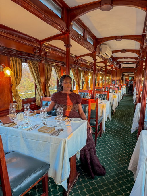 All aboard ✨

For my last night in Zambia I boarded a historic train for beautiful views and an amazing 5 course dinner. Perfect way to end my time on the continent (for now) #LetsGoEniwhere
