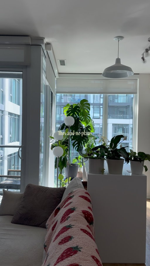 Happy Saturday😌

#homeinspo #homedecor #cozyhome #interiordesign #houseplant 

decor, homedecor, interiordesign, interiorstyling, cozy, cozyhome, homeinspo, organicmodern, plants, houseplants, myhome, instahome, boyapartment, apartment, ambientlighting, ambient, cozyhomes, aesthetichome, design, lifestyle, boyloft, loft, renterfriendly, smiski, betta, betta fish, small apartment, small home, city apartment, boy home
