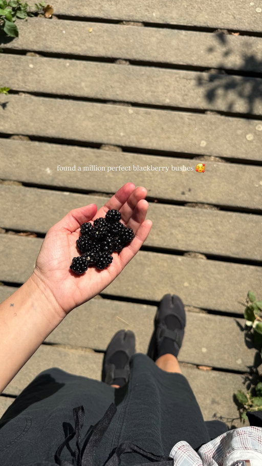 Stories by lisadengler on Jul 25, 2026