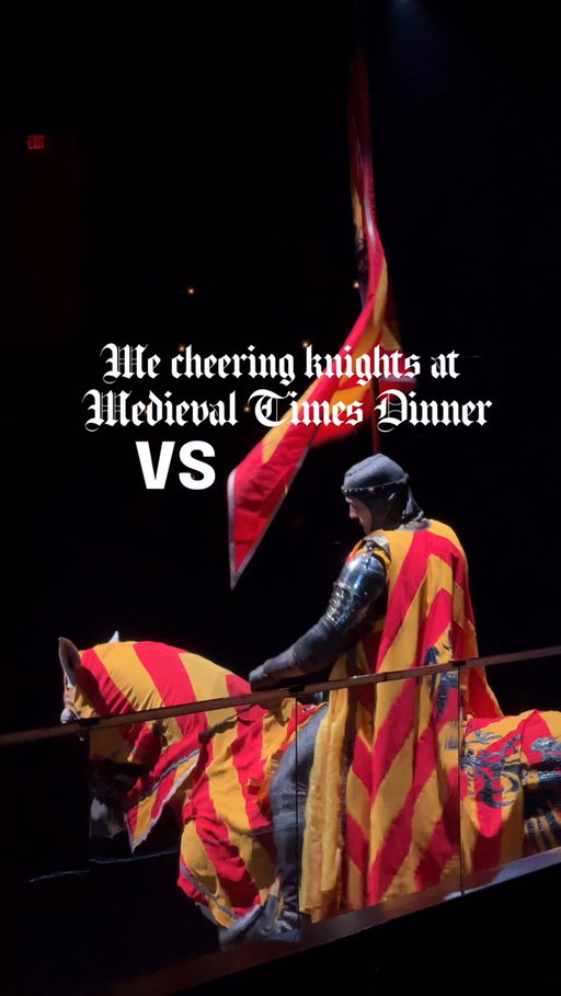 Which one? 🧚🏻‍♀️⚔️ @medieval_times @thearmoredleague