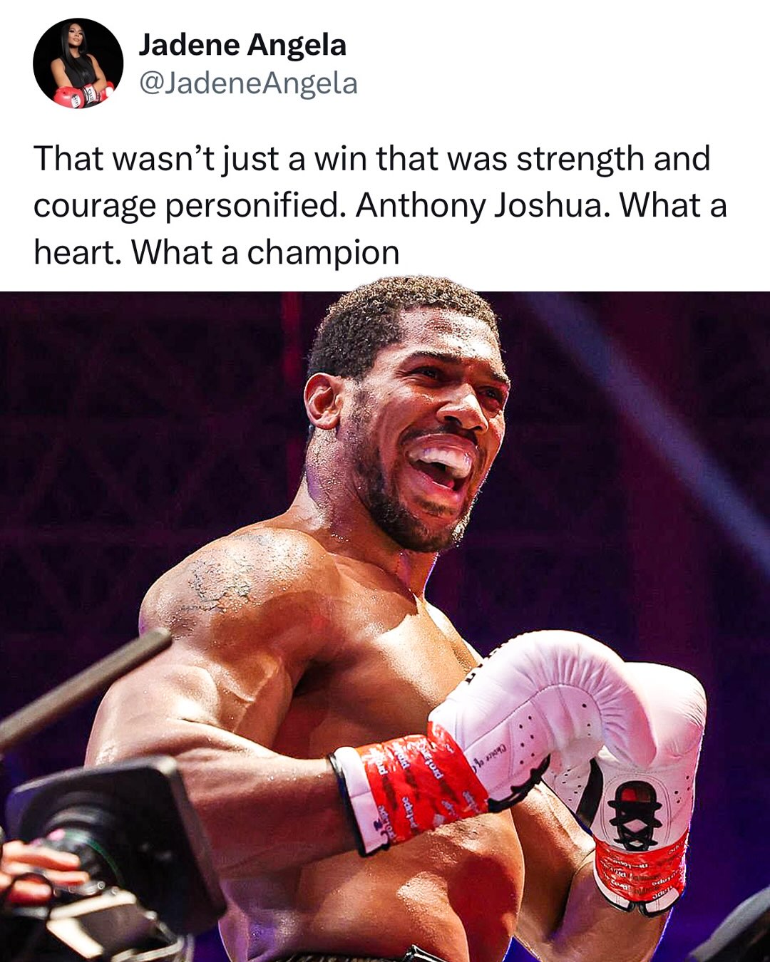 Anthony Joshua knocks out Kristian Prenga in an incredible comeback victory! Is Tyson Fury next? 👀🔥

(h/t JadeneAngela/X, SanzoFilm/X, chris_eaton_/X, Grizzdasmoker/X, oscarwillismma/X)