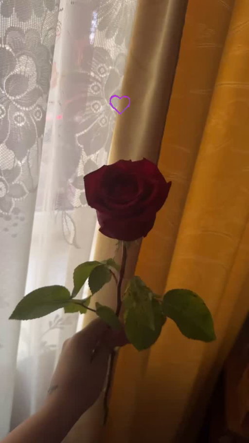 Story by _ariana.gabriela on Jul 26, 2026