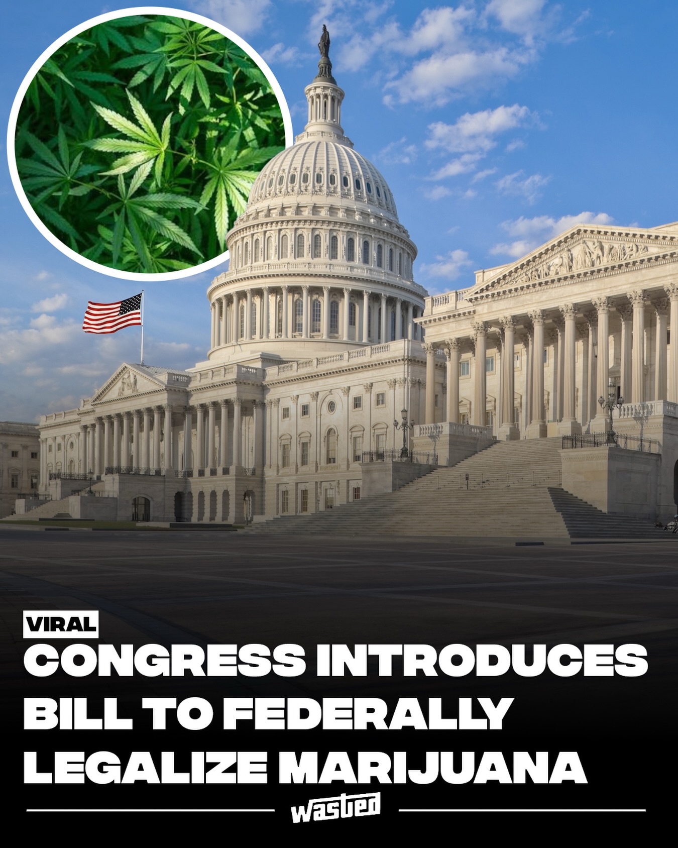 A group of U.S. lawmakers has reintroduced legislation that would remove marijuana from the federal Controlled Substances Act, ending federal prohibition if it were to become law. Seventeen Senate Democrats filed the Cannabis Administration and Opportunity Act on July 16, led by Senator Cory Booker of New Jersey and Senator Chuck Schumer of New York. Alongside descheduling, the bill would establish a federal regulatory and taxation framework and expunge certain federal marijuana convictions.

It is one of several competing approaches currently before Congress. The MORE Act, introduced in the House by Representative Jerrold Nadler of New York, would also deschedule marijuana while adding expungement, resentencing, and community reinvestment provisions, and carries 75 sponsors, all Democrats. A separate bipartisan measure, the STATES 2.0 Act, led by Republican Representative Dave Joyce of Ohio, stops short of full descheduling and would instead exempt state-legal activity from most federal enforcement. The Marijuana Herald has also reported, citing two congressional staffers, that a group of House Republicans is preparing its own descheduling bill ahead of the midterms.

None of these has passed. All face an uncertain path, and the Trump administration is pursuing a narrower route, moving to reclassify marijuana as a Schedule III substance rather than remove it from the schedules entirely.

Sources: Cannabis Business Times, The Marijuana Herald, Heady NJ.