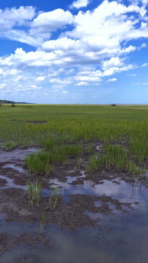 No two tides. No two views. No two flights are ever the same. 🌿

Charleston’s salt marsh is constantly changing, shaped by the tides and winding through miles of Lowcountry waterways. From above, it’s easy to see why this landscape is one of South Carolina’s greatest natural treasures.

These aerial views capture the beauty of the Charleston marsh, tidal creeks, coastal wetlands, and the endless scenery that makes exploring the Lowcountry so special. Whether you’re on the water or in the air, there’s always something new waiting around the next bend.

What’s your favorite place to explore in the Charleston marsh? 🌊