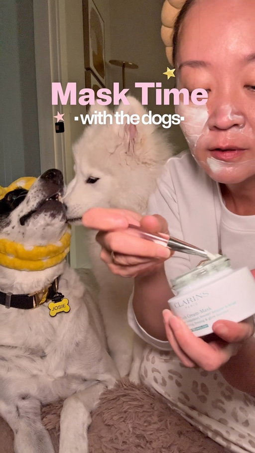 We tried. 🤷🏻‍♀️🐶🐻‍❄️ Anyone going to Mumford & Sons Friday?

#dogsofinstagram #funnydogvideo #samoyed