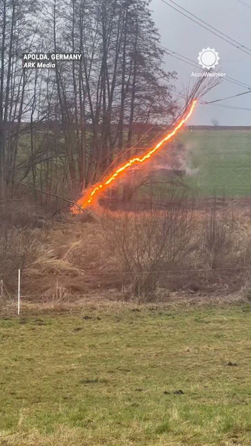 A tree caught fire after falling onto a live power line during a storm in Germany. The flames appeared to pulse with each surge of electricity through the line.