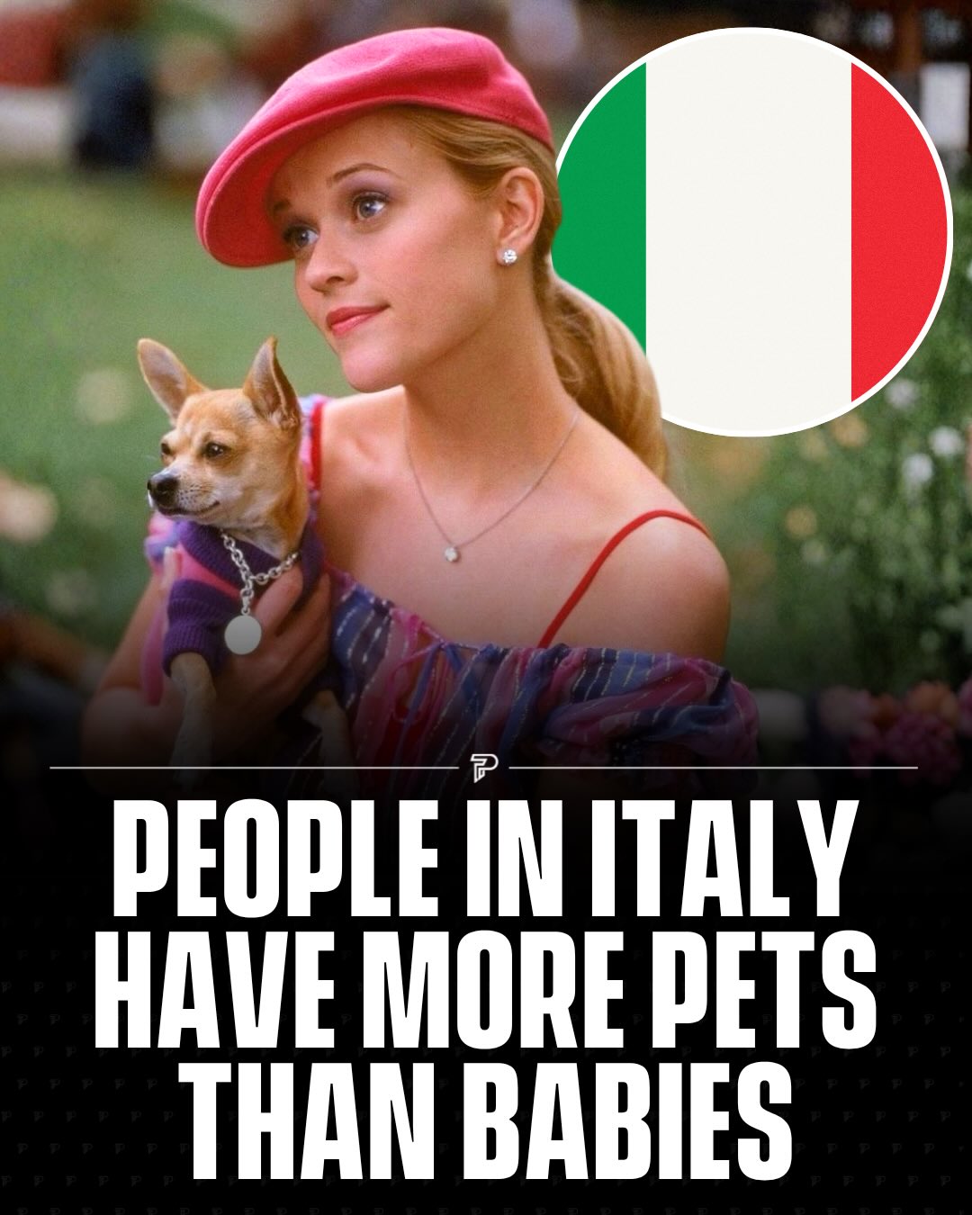 Italy now has around 62 million pets compared to roughly 370,000 births in 2024, the lowest number since the country unified in 1861. The average Italian woman is now having just 1.18 children, far below the 2.1 needed to maintain the population.

Rising living costs and job insecurity are cited as the main drivers. Both Pope Francis and Prime Minister Giorgia Meloni have publicly urged Italians to have more children. 🇮🇹

#Pubity #Viral #Interesting