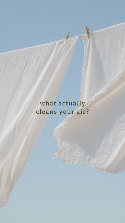 Not every air quality upgrade deserves your money. See which solutions actually make a difference.. and which ones don’t.

#TerraLux #HomesThatHeal #HealthyHome #SustainableLiving #WellnessRealEstate