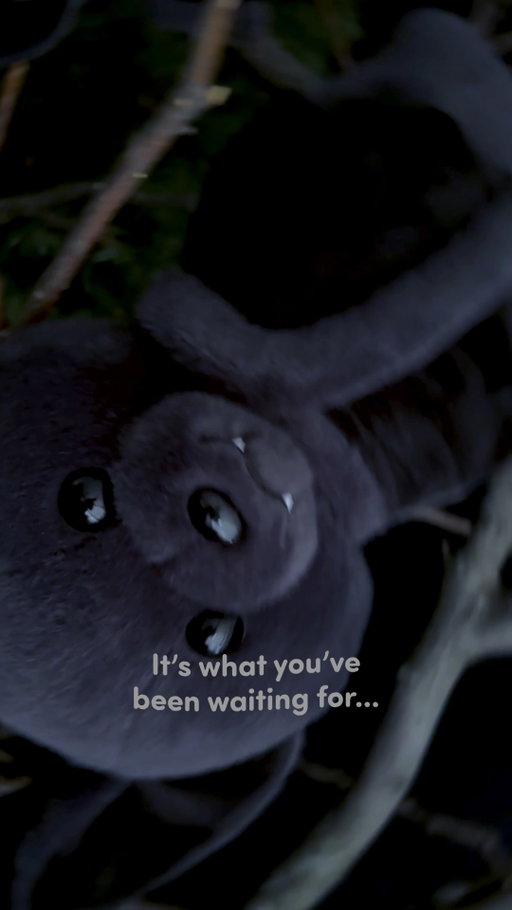 Spooky season is coming!! Link in bio for more! 🎃🦇👻🌕🔮🕷️​

​#TheStuffYouLove #AddALittleHeart #Halloween #Bat​ #SpookySeason