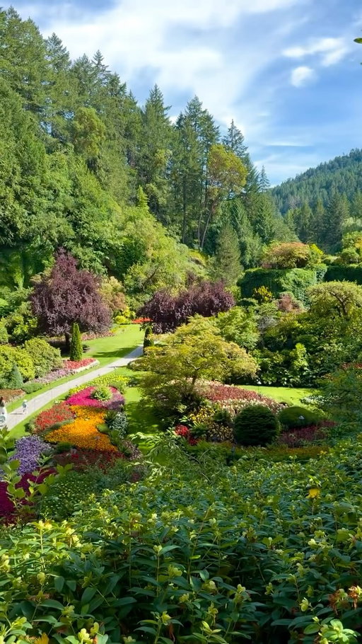 When you open the windows and this is the view… 😍

📍 @thebutchartgardens

Credit: @liana.italiana

#exploreBC #TheInfiniteCoast
