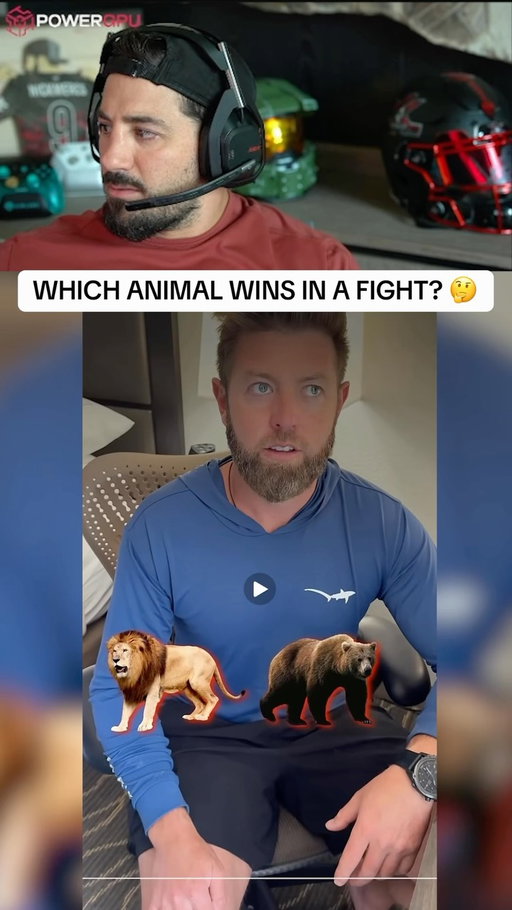 WHICH ANIMAL WINS IN A FIGHT? 🤔