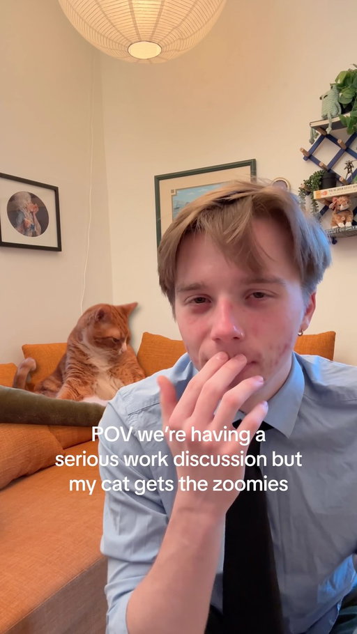 i’m still in the running for employee of the month right?

#workfromhome #zoomies #catparent #funnycats