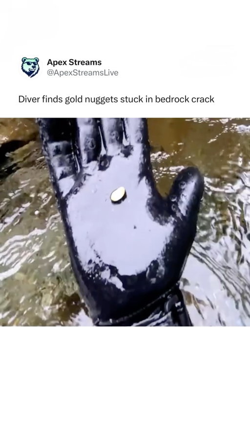 Ethan Brooks, 41, stumbled onto an unexpected discovery while diving a remote stretch of the Jefferson River, uncovering several natural gold nuggets lodged deep inside a crack in the bedrock. 

Brooks said the glimmer caught his attention during what he described as a routine dive, leading to one of the most memorable finds of his life.

(Via newsat9/TT)