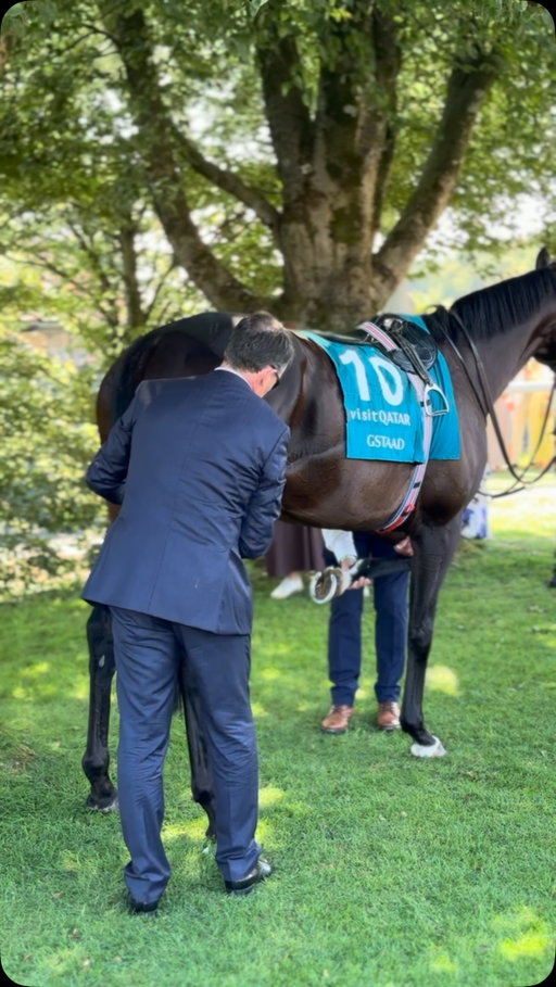 Perfect perfect perfect ✨

Aidan O’Brien 🐐