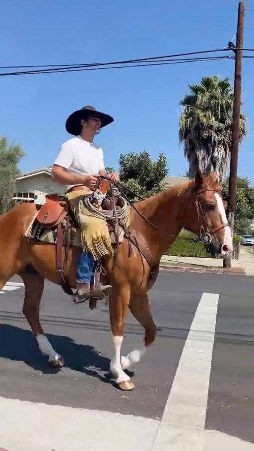 “What if we delivered them on horseback?” 🤠

For our @stanley1913_brand x @spaceykacey partnership, we skipped the standard product drop for a spectacle LA didn’t know it needed. 

We went full western to deliver the collection, officially “steeling” the show in Tinseltown.

#CNCexperiences