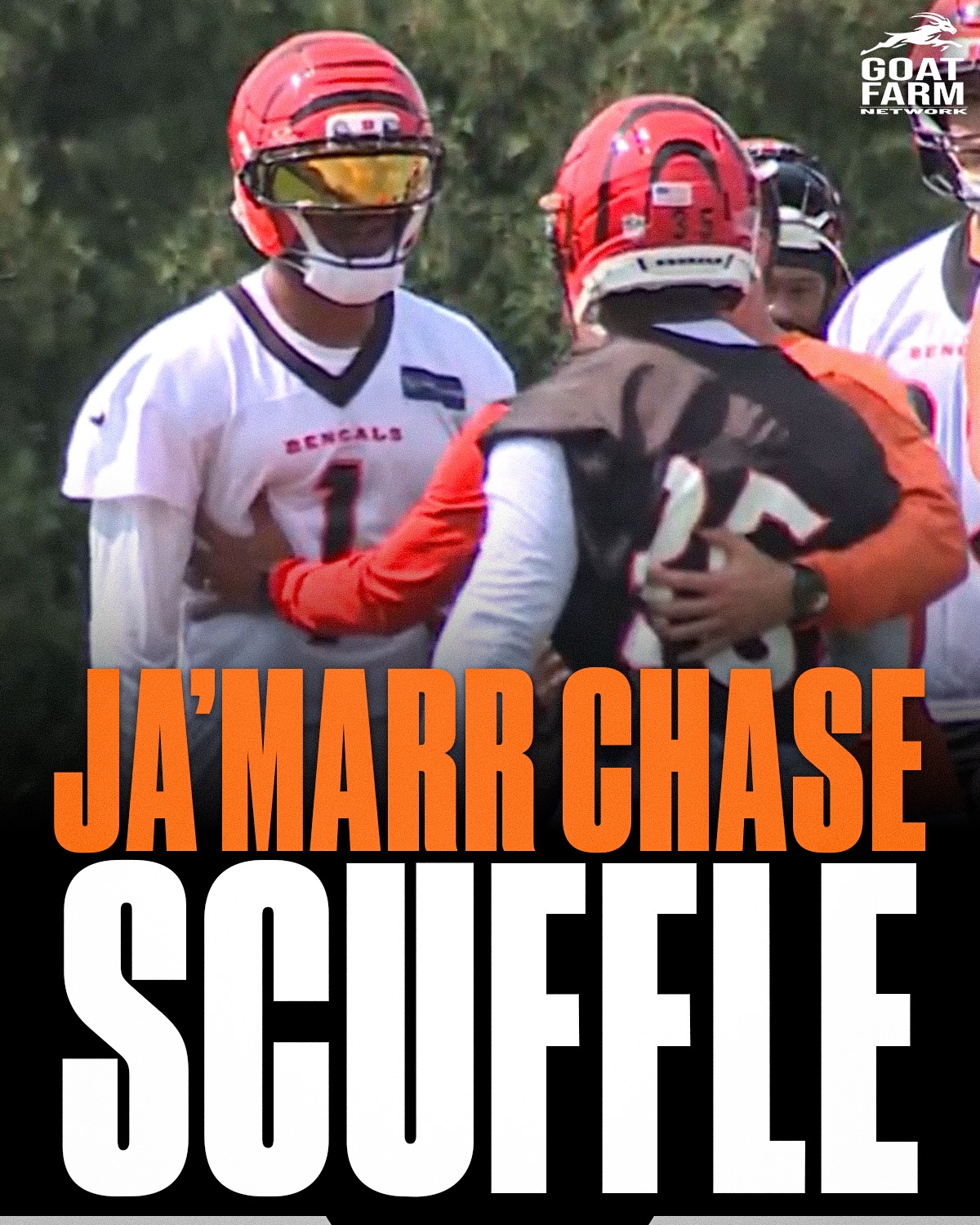 Ja'Marr Chase was tossing helmets in a training camp scuffle 💀🔥

(via @wlwt5)