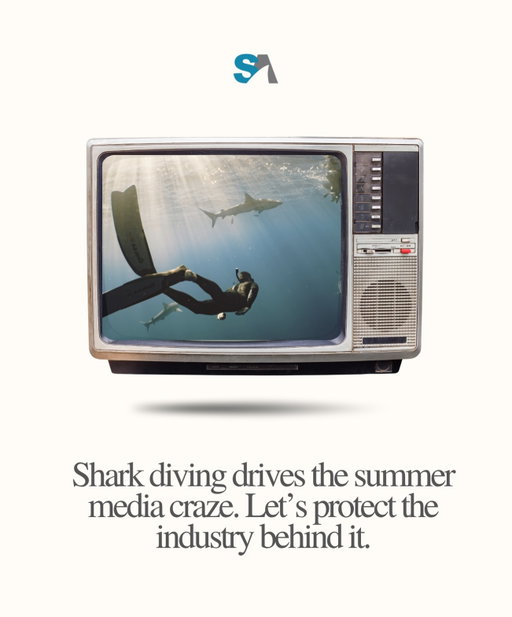 As the shark community is celebrating SharkWeek, SharkFest, and SharkCon this whole month of July, let’s consider the fact that all of these shows are based on people swimming with sharks, whether that is researchers studying sharks, production companies filming sharks, film makers making shark movies, or celebrities getting to know sharks. And yet, diving with sharks is still not recognized as a valid industry worthy of consideration, as efforts are underway to shut down shark diving operations. 

Much of this is based on the fishing industry pushing their agenda. As everyone is blissfully enjoying shark programming this summer, please be aware that many of the locations that provide the opportunity to see sharks are under threat to be outlawed. Years ago it happened in Hawaii, and now it is happening in Florida. 

Please take some time to learn about this urgent issue by visiting SaveFloridaSharkDiving.com (or link in Bio).

#SharkWeek #SharkFest #SharkCon