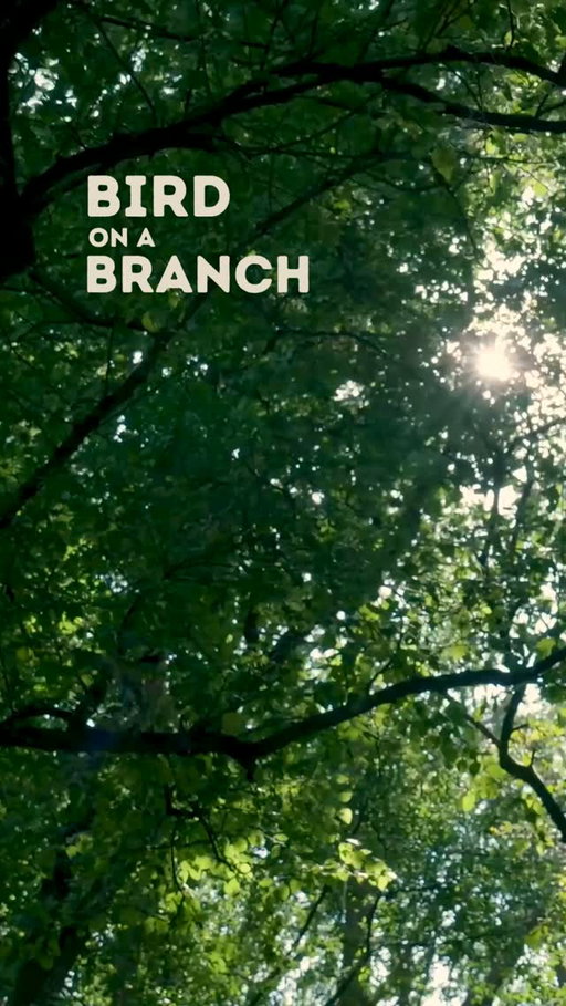 🕊️ As promised: Bird on a Branch is officially live.

This is the intro. The 'why' behind everything you're about to hear: a space to trace things back to the root, the patterns most of us carry without ever naming them.

I'm not showing up with it all figured out. I'm showing up as someone who's walked through some of the hardest chapters life can hand you — and found a way to transmute that pain into purpose. Lived experience, professional training, intuition. All three belong here.

The first three episodes are ready for you. New ones drop every Thursday. This is just the beginning. 🤍

🎧 Links in bio. Go feel it for yourself.

#birdonabranch #vitaltreasures #podcastlaunch #newpodcastalert #traumahealing #nervoussystemregulation #selftrust #healingjourney