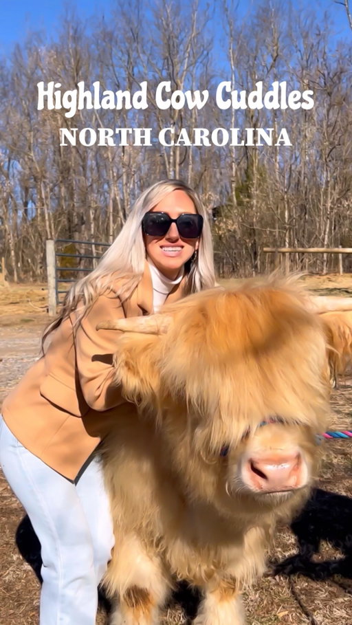 🥹🐮 Can I keep them all !? 

I had the absolute BEST time @crookedcreekhighlands !!! 

Here you can cuddle the cutest highland cows!! 🐮 You’ll also see Nigerian dwarf goats, donkeys, mini horses , and pony!!!

They offer paint parties, farm tours, yoga, photography, field trips, and special events. They are by appointment only and all events are posted on their website. Each is a great opportunity to see, brush and feed the cutest animals ever!!! 

They decorate seasonally and have seasonal events year round! Also, they enjoy sharing the animals and the peace and tranquility of the farm. 

They have lots of exciting events in store, so stay tuned for more!!! 

➡️Send this to who you’re talking and follow me @raleighwanderlust for more !! 

🚗 2 hours from Raleigh & 1 hour north of Charlotte

📍4147 Somers Rd, Hamptonville, NC 27020

#northcarolina #nc #highlandcows #cowcuddles #visitnc visitnc