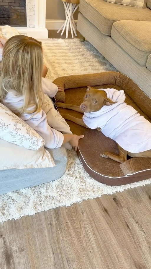 @lesurepet  X @hi.this.is.tatum 

–

The @lesurepet RealOrtho dog bed has 3 layers of supportive foam, as comfy as mom’s bed and better for my joints, of which I don’t ever want to get out of 😆🐕. #LesurePartner #LesureRealOrtho #tatumtalks