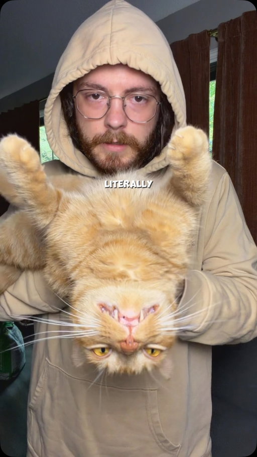 I promise he’s real #catsofinstagram #orangecat #orangecatbehavior #catdad #orangecatsofinstagram