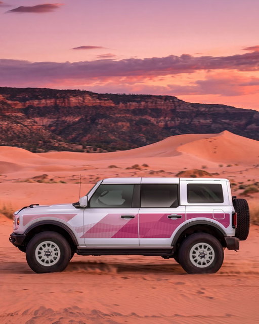 Styled to stand out. 

The new, limited edition Ford Custom Garage Package, Bronco Desert Rising, brings unexpected magenta and unique color-matched details to the Bronco Outer Banks, with custom Method Wheels®, two-tone Katzkin Leather™ seats and optional bodyside graphics inspired by Utah's desert colors.