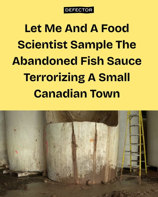 This week, cleanup began on a fish sauce plant abandoned to ferment for over 20 years in a small town in coastal Canada. I can't be the only person out there staring at these torrents of fish mud and wondering about the tasting notes. 

At Defector, Giri Nathan interviews a food scientist about the potential flavors. Link in bio