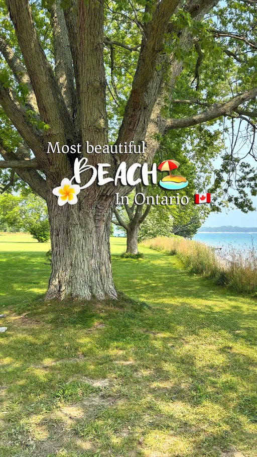 🎥 Watch the full vlog on YouTube (link in bio) for travel tips, parking info, and the complete experience.

Vlog covers: Outlet beach, lakeshore and sand dunes beach🏖️ 

📍Sandbanks Provincial Park, Prince Edward County

#SandbanksProvincialPark #OntarioTravel #PrinceEdwardCounty #CanadaTravel #ExploreOntario