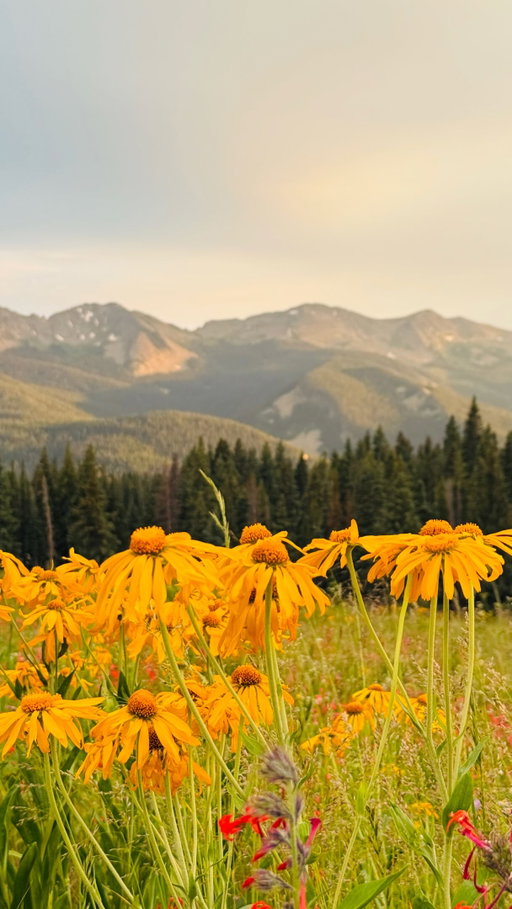 I care because I love this country & there’s no where else I’d rather live

no public lands means no place to hike, fish, hunt, camp, whatever public lands means to you, I invite you to share it, think about it, & remember what we’re fighting for 

don’t wait until it’s too late

here’s how you can get involved:
go to wilderness.org
sign the Public Lands Pledge
learn more about TWS & join the coalition

Public lands. Hand em down, not over. @wildernesssociety #ad