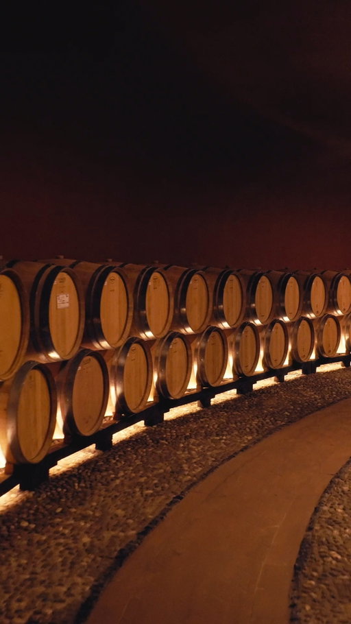 Beneath Tenuta Poggio Casciano, the historic cellars hold more than barrels: they safeguard decades of passion, tradition, and patient craftsmanship.
Walk through them and embark on a journey into Ruffino’s heritage, discovering Tuscany’s most celebrated wine appellations.

Book your visit. Link in bio.

•

Sotto la Tenuta Poggio Casciano, le cantine storiche custodiscono più che botti: custodiscono decenni di passione, tradizione e pazienza.
Percorrile di persona, guidato in un viaggio attraverso la storia Ruffino, alla scoperta delle denominazioni più rappresentative della Toscana.

Prenota la tua visita. Link in bio.

#Ruffino1877