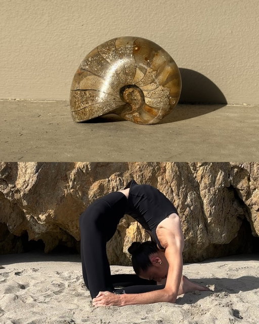 Where movement meets the Earth.