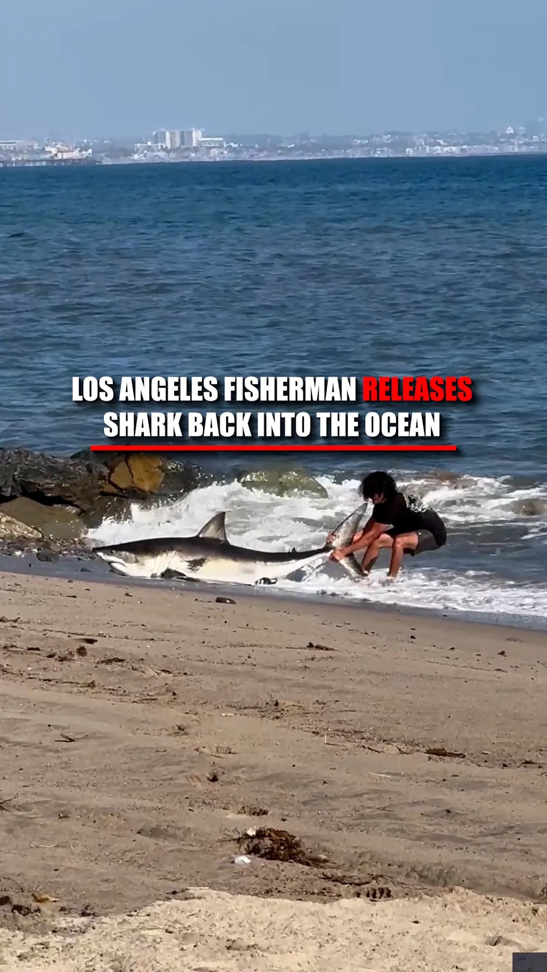 WATCH: A fisherman stuns beachgoers in Los Angeles after reeling in a shark, unhooking it by hand, and dragging it back into the surf to release it.

After a brief struggle, the shark swam off into Santa Monica Bay as onlookers looked on, "shocked" and "surprised" by the unusual scene.