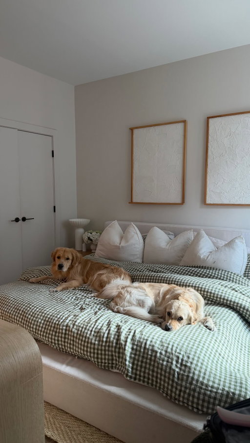 #ad Welcome to Frank and Fred’s morning routine 🐶 been loving @ollie recently, it’s been sooo convenient and the dogs LOVE it, you can use my code “Kristen” to get 70% off your first box 🤍 #OlliePartner