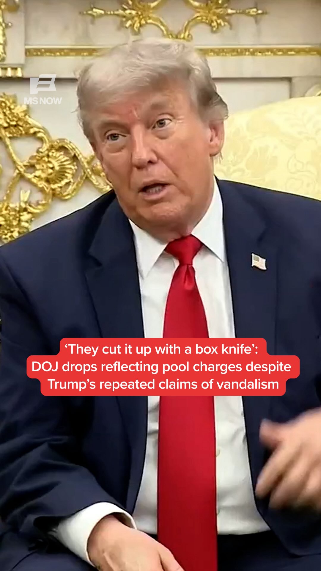 The Department of Justice has moved to drop felony charges against ex-Olympian David Hearn, whom the administration accused of vandalizing the Lincoln Memorial Reflecting Pool. 

Prosecutors say that the pool was actually damaged as a result of flawed installation by the contractor, even though President Trump repeatedly tried to blame “vandals” and “saboteurs.”