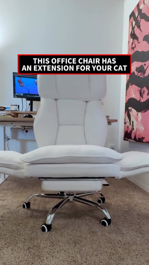 If your remote work desk doubles as a preferred nap spot for your fur baby, the $249 HOMRELEXA Big & Tall Ergonomic Office Chair is for you. 💺🐈

Its headline feature is a pair of 90-to-180-degree flip-out armrests that expand the seat width from 22.8 inches up to an ultra-spacious 38.6 inches. This extra lateral real estate creates a dedicated side-perch extension for your cat or small dog to lounge right alongside you. 

#WorkFromHome #CatLover #CatMom #CatDad #DeskSetup