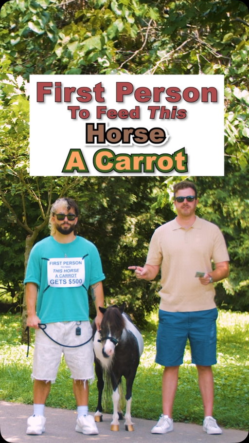 It’s not a dog
