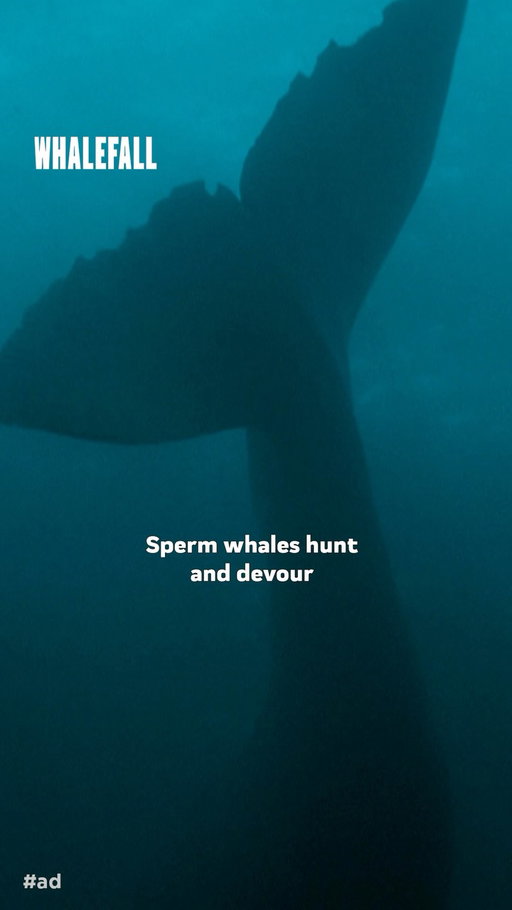 Dive into the deep unknown 🦈

Check out Whalefall Director Brian Duffield’s interview for #SharkWeek. And don’t miss #Whalefall, in theaters October 16.
