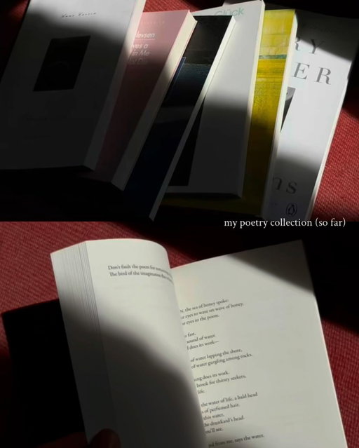 slowly adding poetry to my collection - any and all suggestions welcome and very grateful for always 🦋

i’ve been looking at wave books and fitzcarraldo editions (though it’s harder to find in the bookstores in the netherlands)