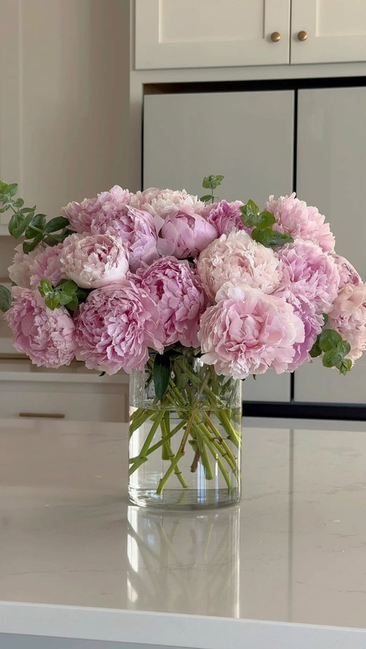 Some flowers are too beautiful to be temporary 💞

#aestheticblog #myeverydaymagic #mysafespace #homediaries